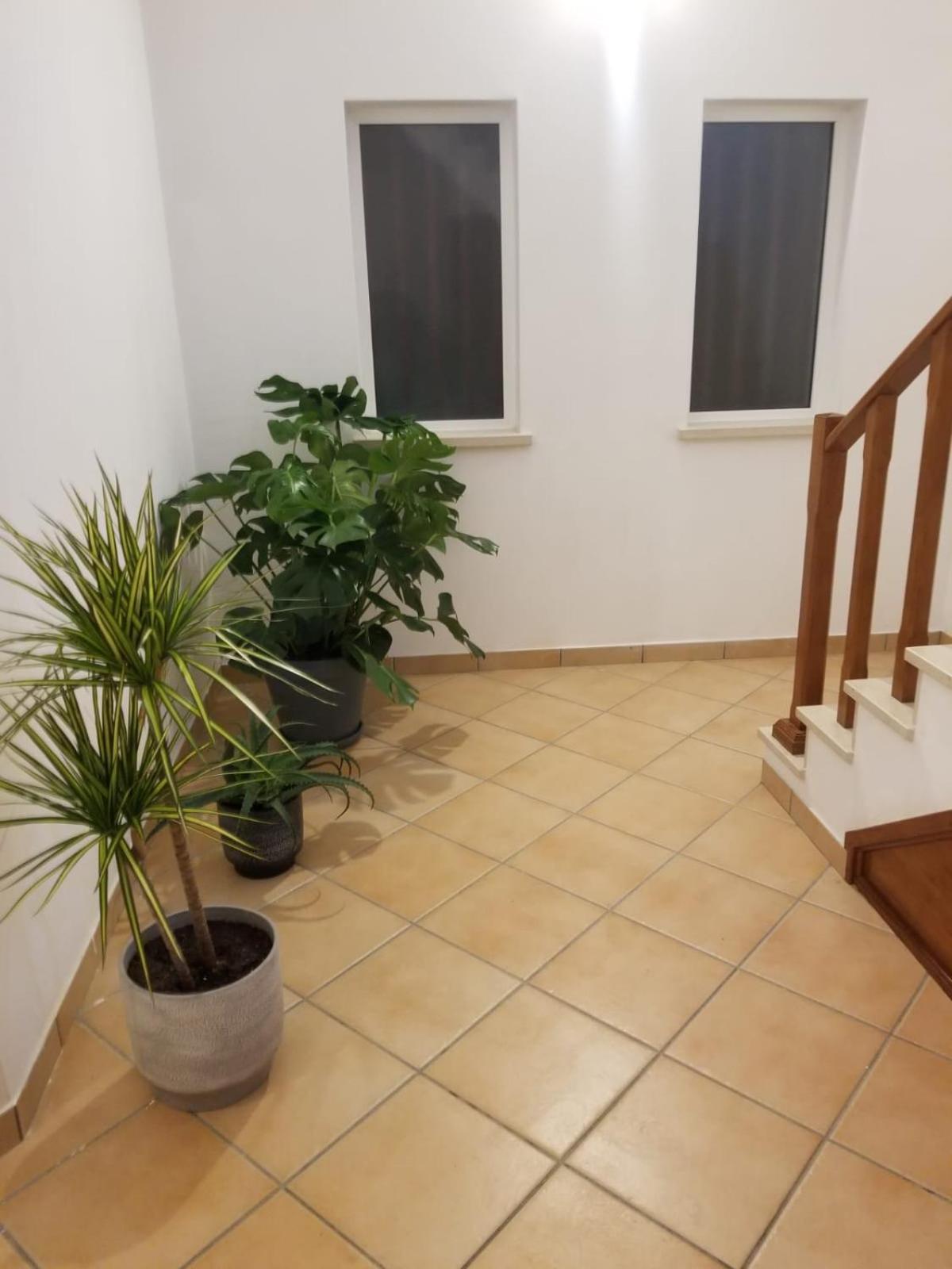 Apartament Le Parisien 1 Serra d'El-Rei Zewnętrze zdjęcie